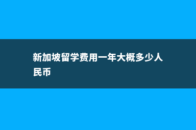 新加坡留学前费用读研(新加坡留学费用一年大概多少人民币)