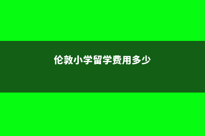 伦敦小学留学费用(伦敦小学留学费用多少)