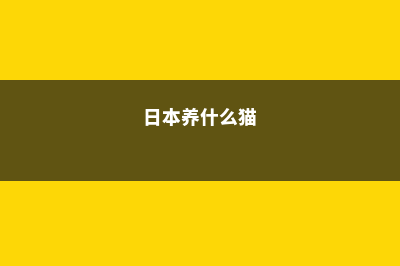意大利留学,服装设计专业名校推荐(意大利留学服装设计要多少钱)