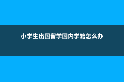 小学生出国留学美国费用(小学生出国留学国内学籍怎么办)