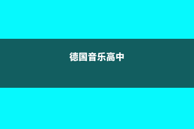 高中德国乐器留学(德国音乐高中)