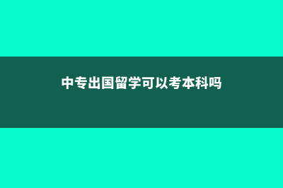 中专出国留学可以去德国吗(中专出国留学可以考本科吗)