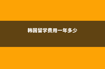 韩国留学学费(韩国留学费用一年多少)