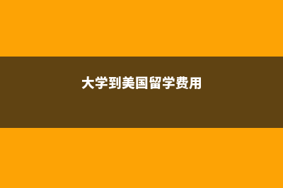 大学到美国留学最低费用(大学到美国留学费用)