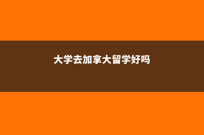 大学去加拿大留学费用(大学去加拿大留学好吗)