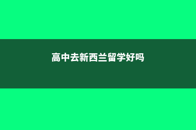 高中去新西兰留学的费用(高中去新西兰留学好吗)