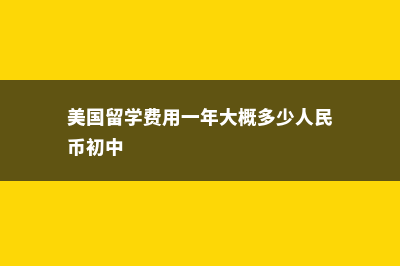 美国高中留学条件及费用多少(美国留学 高中)