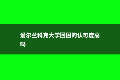 爱尔兰科克大学商科怎么样(爱尔兰科克大学回国的认可度高吗)