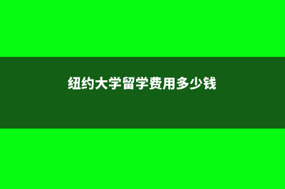 纽约大学留学费用大概多少(纽约大学留学费用多少钱)