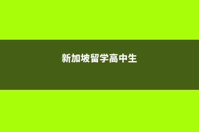 新加坡高三留学费用(新加坡留学高中生)