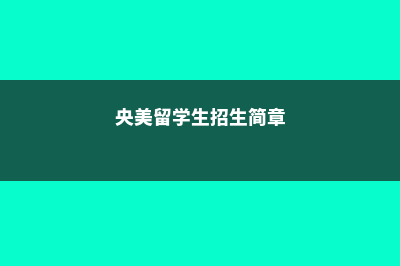 央美国际本科留学费用(央美留学生招生简章)