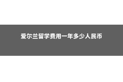 爱尔兰留学费用中学生(爱尔兰留学费用一年多少人民币)