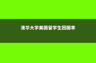 清华大学美国留学班费用(清华大学美国留学生回国率)