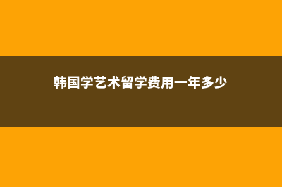 韩国大学艺术留学(韩国学艺术留学费用一年多少)