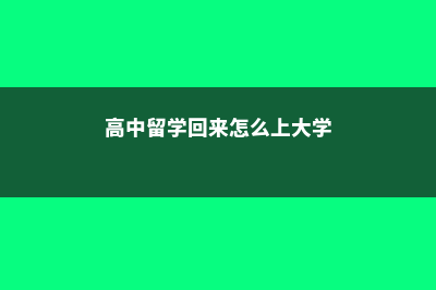 读完高中留学英国费用多少(高中留学回来怎么上大学)