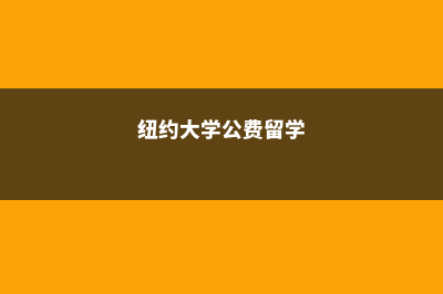 纽约公立大学留学费用(纽约大学公费留学)