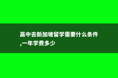 高中去新加坡留学最低费用(高中去新加坡留学需要什么条件,一年学费多少)