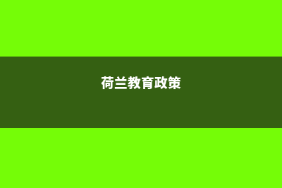 荷兰的教育体制概况解析(荷兰教育政策)