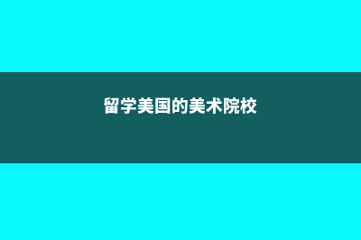 美国美术留学费用要准备多少钱(留学美国的美术院校)