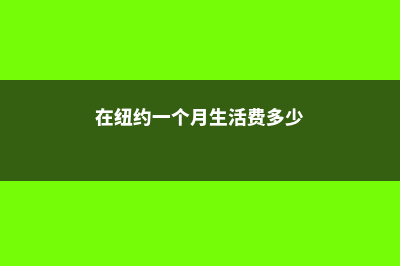 在纽约一个月生活费准备多少(在纽约一个月生活费多少)