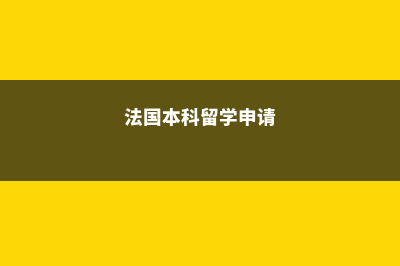 法国本科留学材料专业费用(法国本科留学申请)