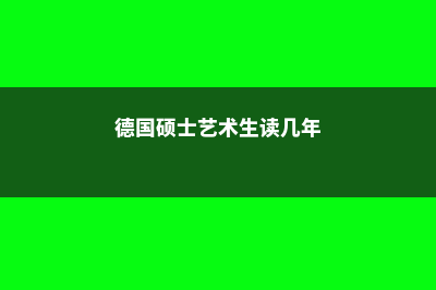 德国硕士艺术生留学费用(德国硕士艺术生读几年)