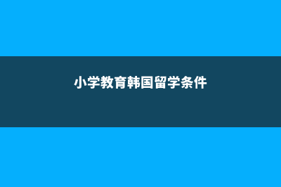 小学教育韩国留学硕士就业(小学教育韩国留学条件)