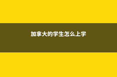 加拿大的学生账户到底有什么用呢(加拿大的学生怎么上学)