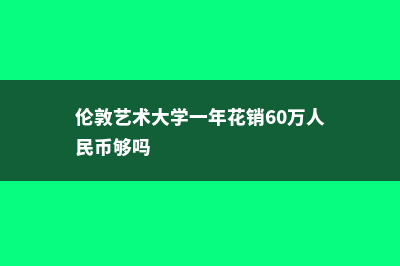 伦敦艺术大学一年学费需要多少钱(伦敦艺术大学一年花销60万人民币够吗)