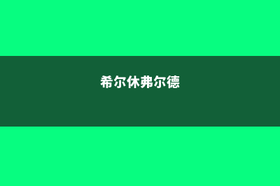 希尔德学院弗雷斯诺分校留学申请攻略(希尔休弗尔德)