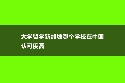 大学留学新加坡的费用多少(大学留学新加坡哪个学校在中国认可度高)