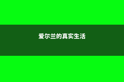 去西北密西西比社区学院留学生活费贵吗(密西西比有哪些城市)