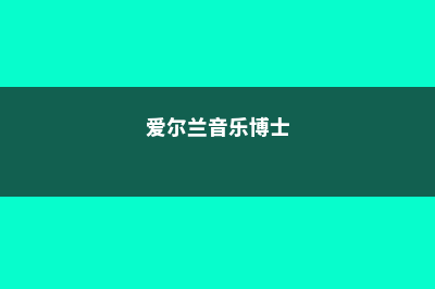 爱尔兰音乐留学硕士费用(爱尔兰音乐博士)