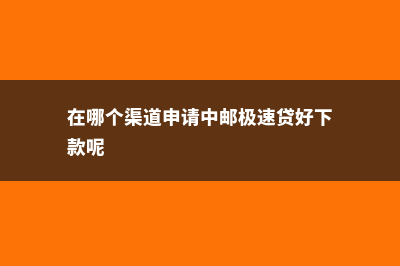 在哪个渠道申请上奥地利州高等专业学院(在哪个渠道申请中邮极速贷好下款呢)