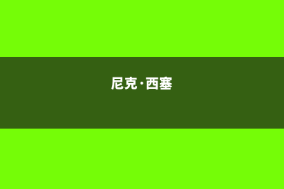 关于西塞尼卡学校需要注意的留学问题(尼克·西塞)