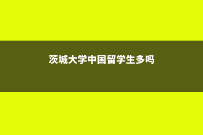 茨城国际学院金融专业好吗(茨城大学中国留学生多吗)