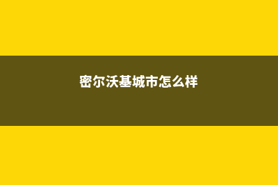 密尔沃基区技术学院商科硕士专业(密尔沃基城市怎么样)