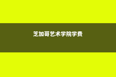 芝加哥艺术学校金融硕士排名(芝加哥艺术学院学费)