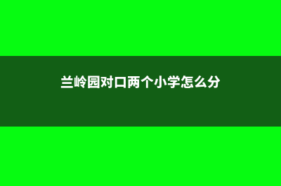 蓝岭社区学院本科建筑专业(兰岭园对口两个小学怎么分)