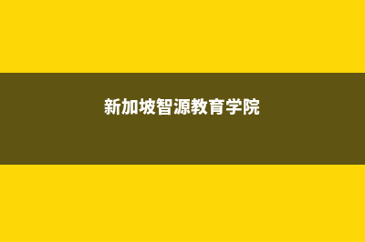 新加坡智源教育学院数学本科专业(新加坡智源教育学院)