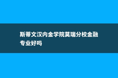 斯蒂文汉内金学院莫瑞分校金融专业好吗