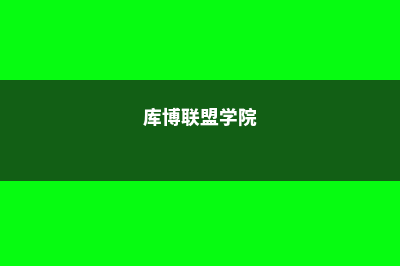 库特·博什学院硕士难度排名(库博联盟学院)