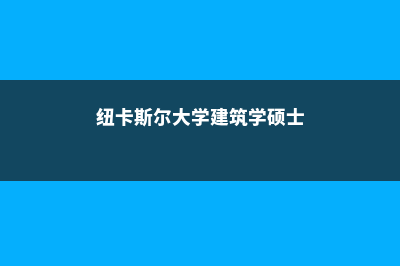 纽卡斯尔大学建筑专业怎样(纽卡斯尔大学建筑学硕士)