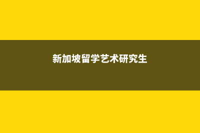 新加坡留学艺术生费用(新加坡留学艺术研究生)