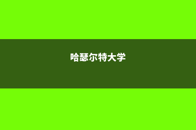 留学哈特内尔学院的注意事项(哈瑟尔特大学)