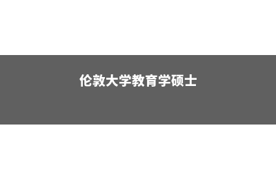 伦敦大学教育学院建筑学专业(伦敦大学教育学硕士)