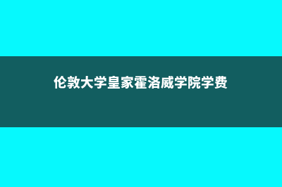 伦敦大学皇家霍洛威学院学费多少人民币(伦敦大学皇家霍洛威学院学费)