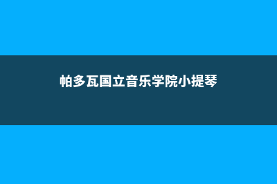 帕多瓦国立音乐学院化学专业(帕多瓦国立音乐学院小提琴)