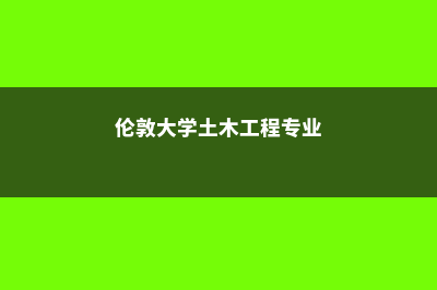 土伦大学院校专业介绍(伦敦大学土木工程专业)