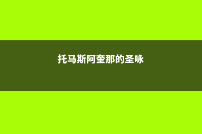 圣托马斯阿奎奈学院留学申请有哪些常见问题(托马斯阿奎那的圣咏)